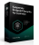 Kaspersky Endpoint Security для бизнеса – Стандартный
